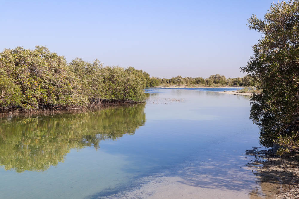 Jubail Mangrove Park
Jubail Mangrove Walking Park
Jubail Mangrove Park Abu Dhabi
Jubail Mangrove Park Photos