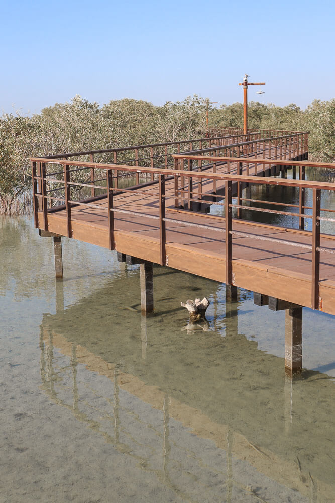 Visiting Jubail Mangrove Park