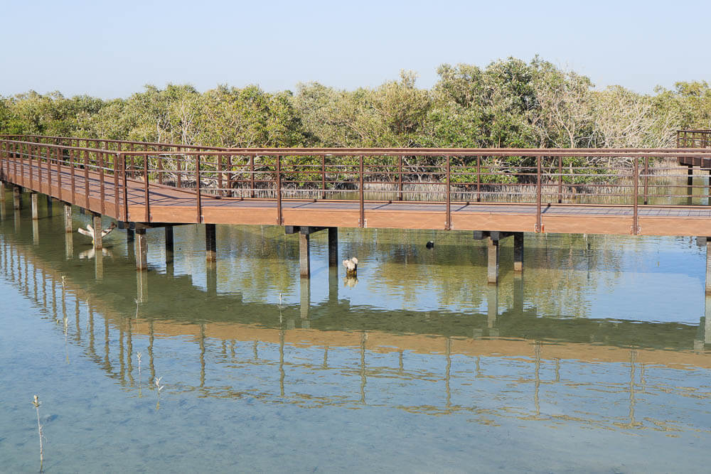 Jubail Mangrove Park
Jubail Mangrove Walking Park
Jubail Mangrove Park Abu Dhabi
Jubail Mangrove Park Photos