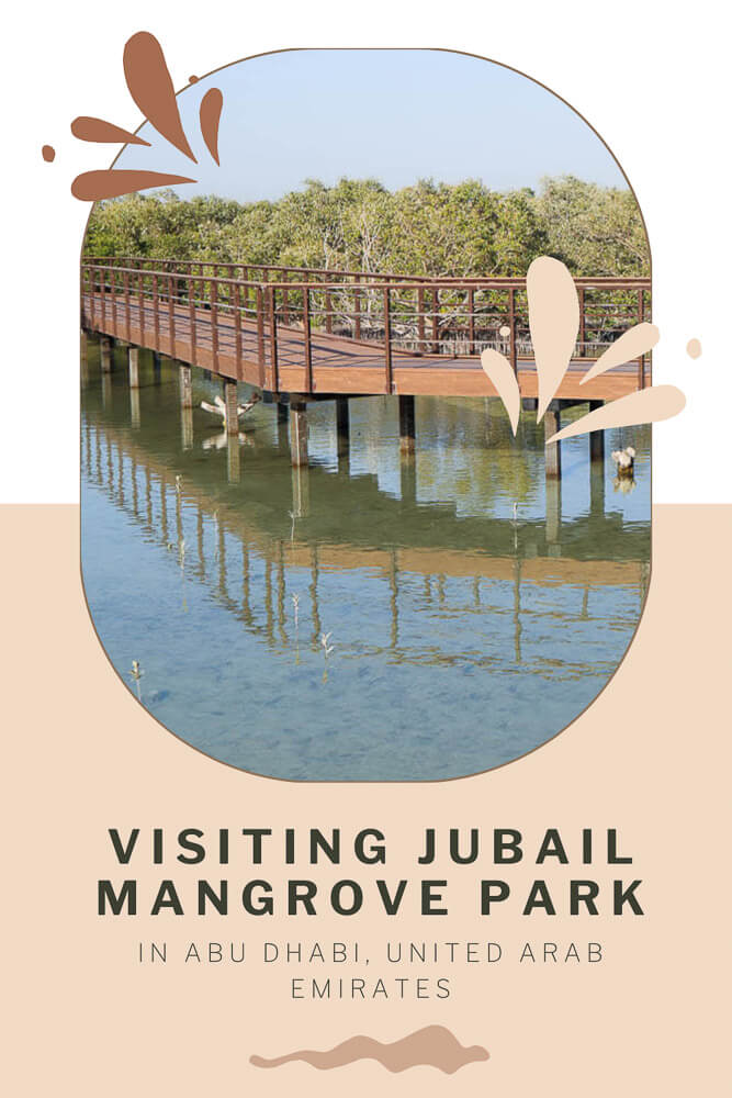 A Guide to Visiting Jubail Mangrove Park - Dubai Dreaming