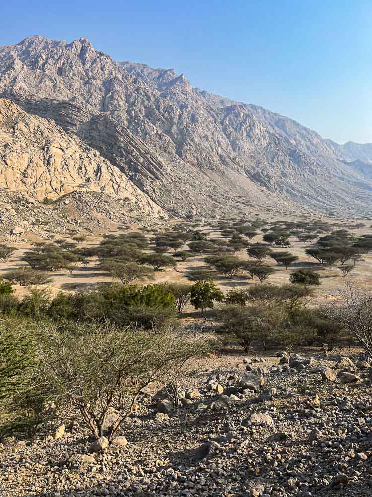 best things to do in Ras Al Khaimah Ras Al Khaimah attractions Ras Al Khaimah sightseeing Ras Al Khaimah activities Ras Al Khaimah landmarks